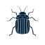 icon-beetle