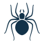 icon-spider